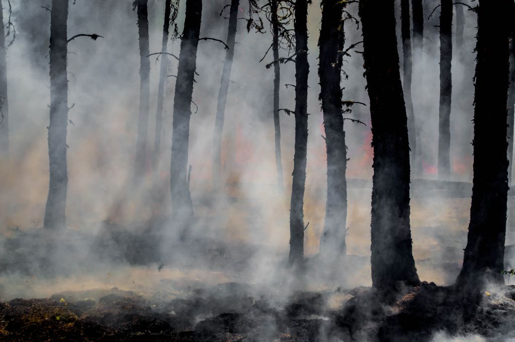 smoky forest fire