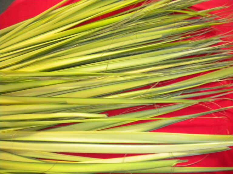 Holy Week is here