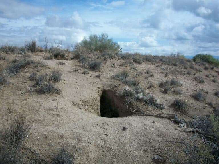Easter Sunday: ordinary resurrections and trembling tombs