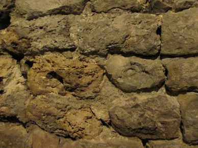 "stones" photo by Julia Walsh FSPA