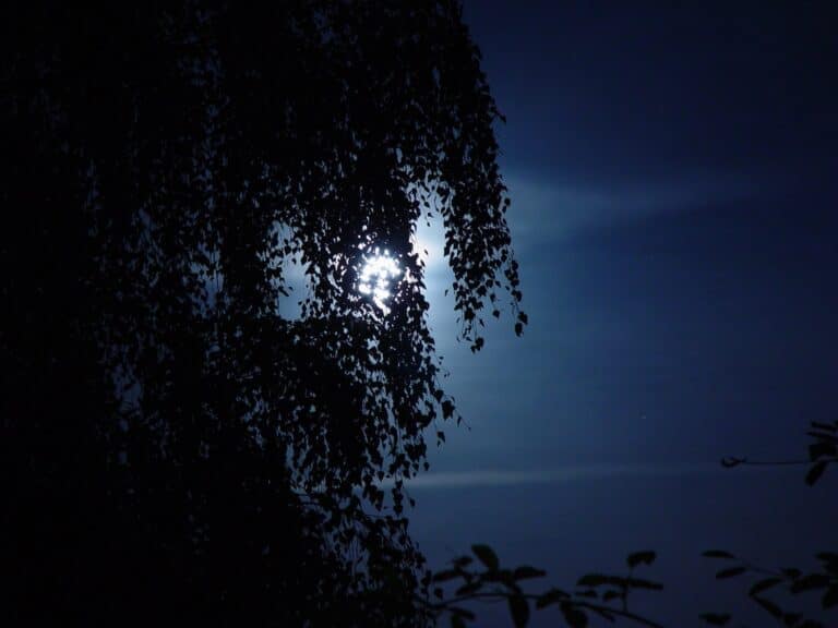 Death in Spring: two Holy Week meditations