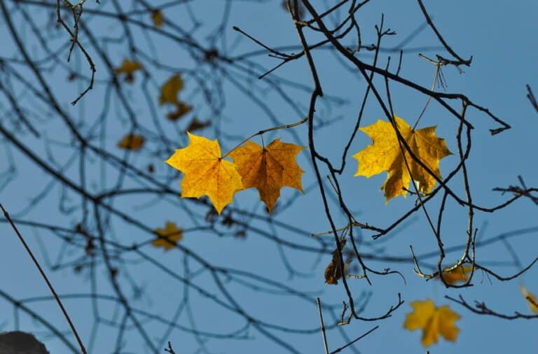 Openness to the mystery of other people