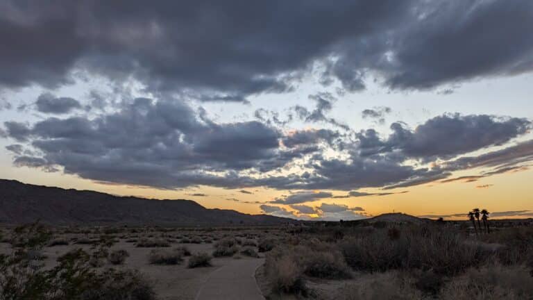 Lenten Contemplation: Transformed in the Desert