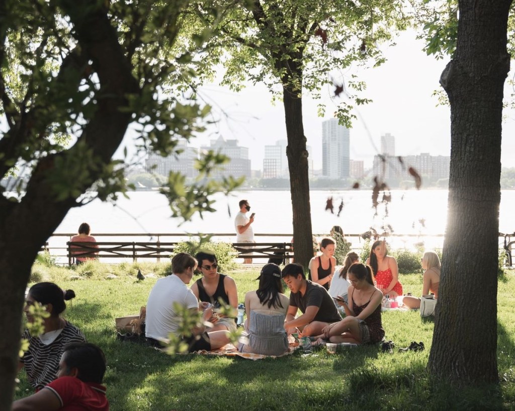 people picnicking in a part with grass, trees, water and city skyline