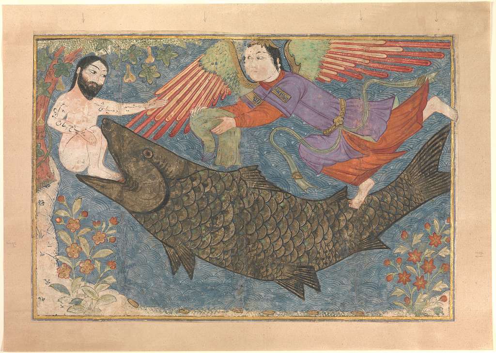 jonah-whale-illustration-folio