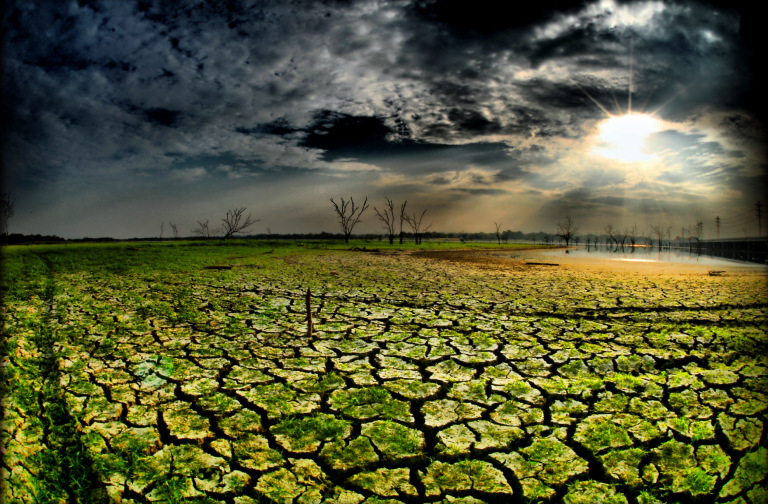 In Praise of Disenchantment