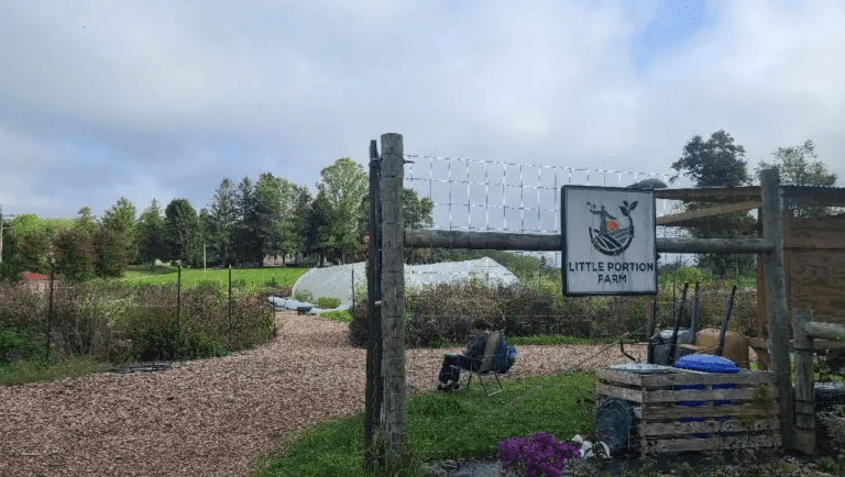 Kelly Moltzen: Communion and Interconnection