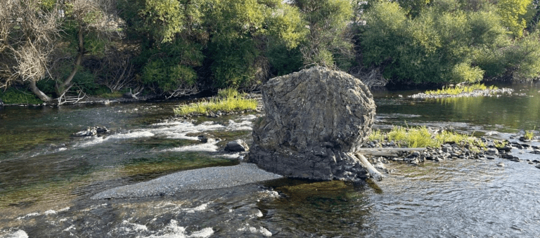 Join Sr. Kristin’s walking pilgrimage reverencing water