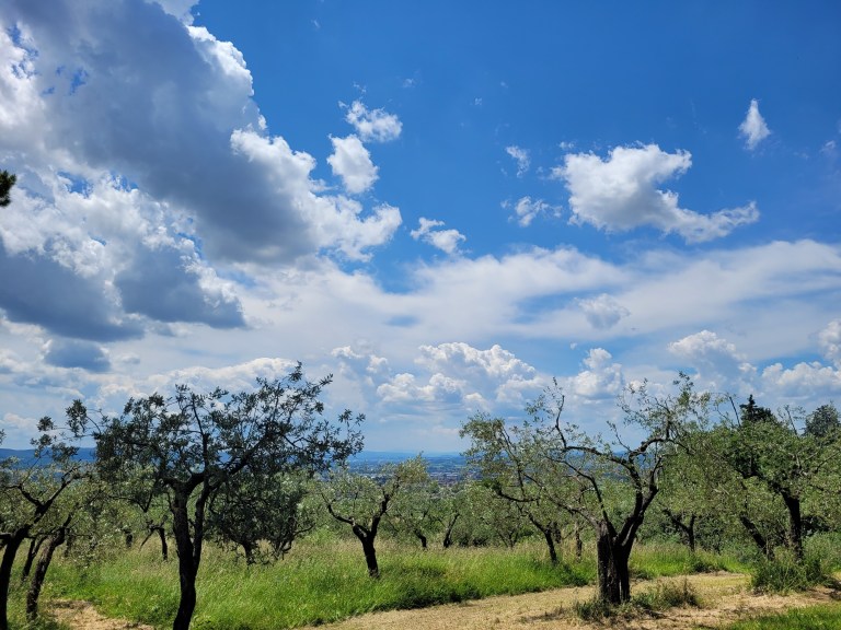 Courageous countercultural choices inspired by St. Francis