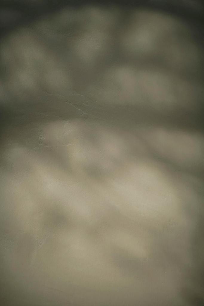 Blurred abstract texture with defocused shadows and gentle hues, ideal for creative backdrops.